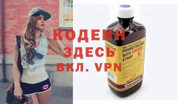 дмт Каменка