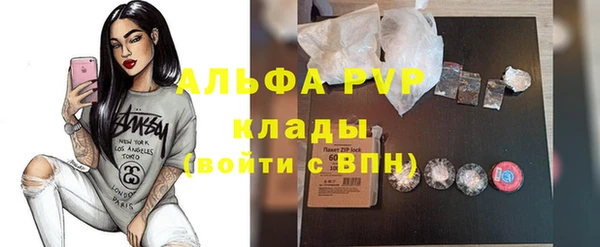 мдпв Карпинск