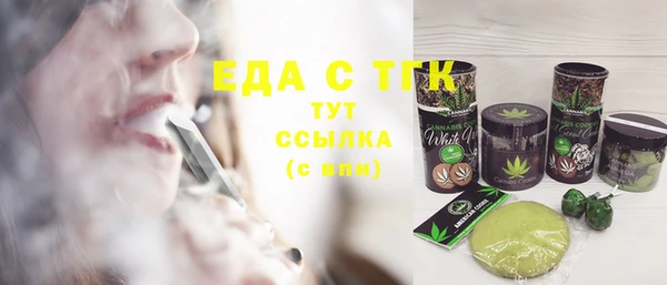 мдпв Карпинск