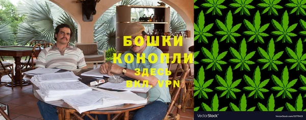 мдпв Карпинск