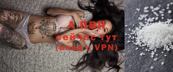 ПСИЛОЦИБИНОВЫЕ ГРИБЫ Касимов