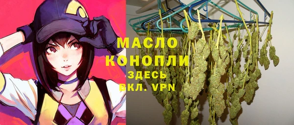 мдпв Карпинск