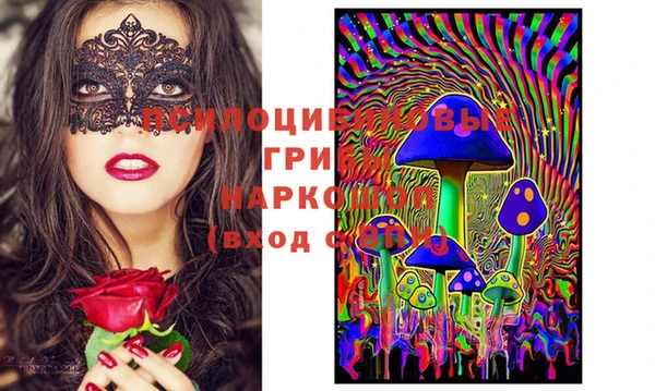 ПСИЛОЦИБИНОВЫЕ ГРИБЫ Касимов