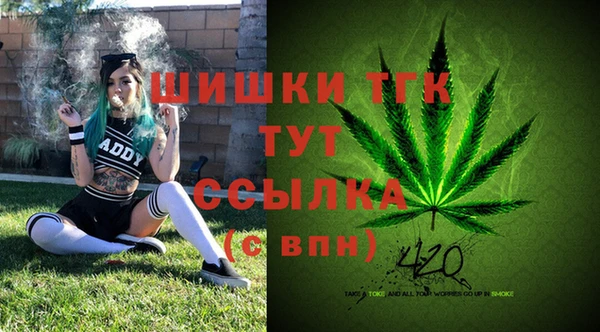 мдпв Карпинск