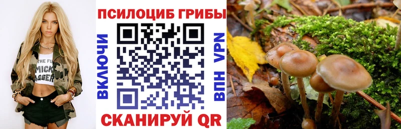 Псилоцибиновые грибы Magic Shrooms  Советская Гавань 