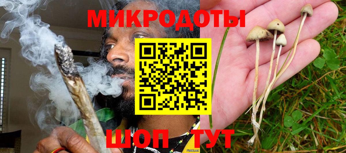 Псилоцибиновые грибы мицелий  Псилоцибиновые грибы мухоморы  Вход с VPN  Советская Гавань 
