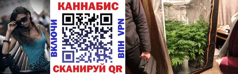 Каннабис семена  Советская Гавань 